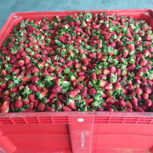 4661277c-1004-4188-9217-2bc4b10e0ec3