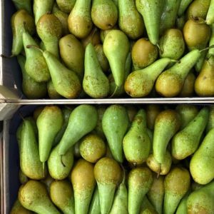 a74879ae-5da5-4ead-ba5c-56dea8ff5e41